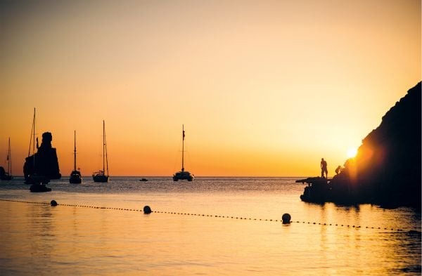 Euphorbia cactus tree with coral filter, on cover of 'Life is Ibiza, People Houses Life', by Lannoo Publishers.