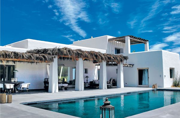 Euphorbia cactus tree with coral filter, on cover of 'Life is Ibiza, People Houses Life', by Lannoo Publishers.