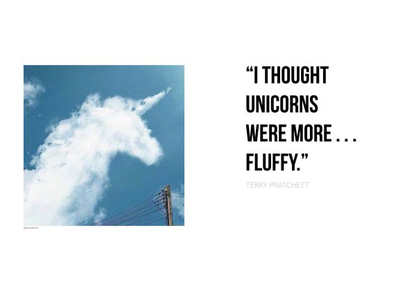 White Llama with blue unicorn horn on head, on pale yellow cover of 'Insta Grammar: Unicorn', by Lannoo Publishers.