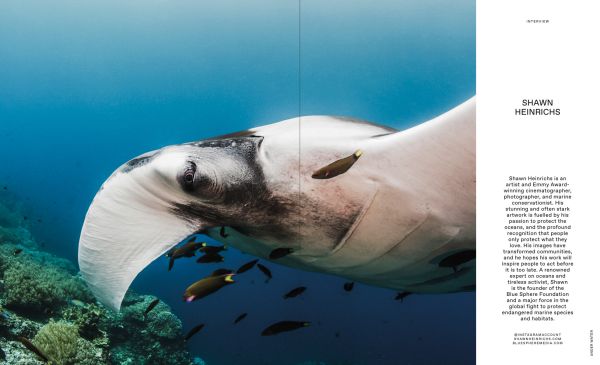 Book cover of Wish I Was Here, The World's Most Extraordinary Places on and Beyond the Seashore, with two swimmers in turquoise sea. Published by Lannoo Publishers.
