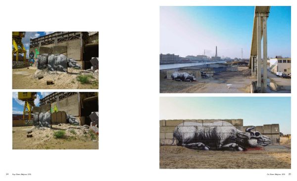Bald Eagle painted on side of abandoned aeroplane, on green cover of 'ROA Codex', by Lannoo Publishers.