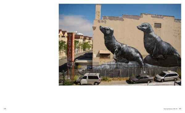 Bald Eagle painted on side of abandoned aeroplane, on green cover of 'ROA Codex', by Lannoo Publishers.