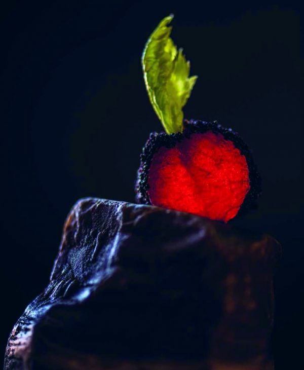 Close up of dark textured aubergine color vegetable, on cover of 'Biotope, Pastorale', by Lannoo Publishers.
