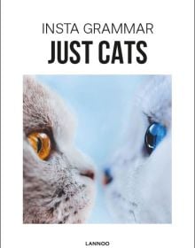 Nose to nose shot of brown cat with amber eyes and white cat with blue eyes, on white cover, 'Insta Grammar Just Cats, by Lannoo Publishers.