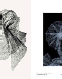 Black and white shot of a negligee with mustard filter over half of image, on cover of 'Garden of Lace, Carine Gilson', by Lannoo Publishers.