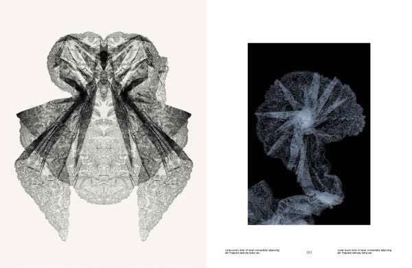 Black and white shot of a negligee with mustard filter over half of image, on cover of 'Garden of Lace, Carine Gilson', by Lannoo Publishers.