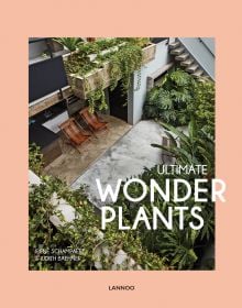 Aerial view of living space with tropical green foliage, palm leaves, 2 deckchairs, on pale pink cover of 'Ultimate Wonder Plants, Your Urban Jungle Interior', by Lannoo Publishers.