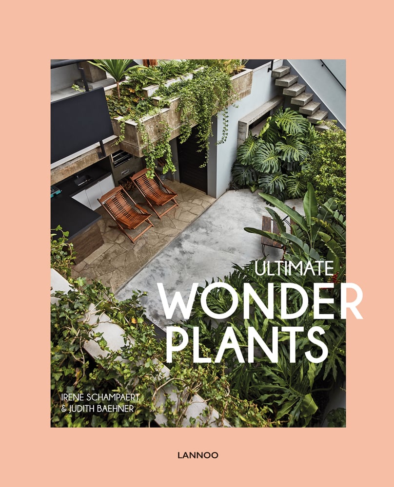 Aerial view of living space with tropical green foliage, palm leaves, 2 deckchairs, on pale pink cover of 'Ultimate Wonder Plants, Your Urban Jungle Interior', by Lannoo Publishers.
