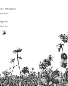 Book cover of 'Fearless, an illustrated list of phobias'. Published by Lannoo Publishers.