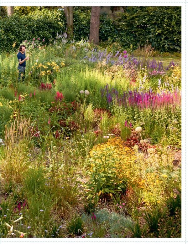 Abstract painting with salmon pink backdrop and dark blue, maroon and yellow floral shapes, on cover of 'Arne Quinze', by Lannoo Publishers.
