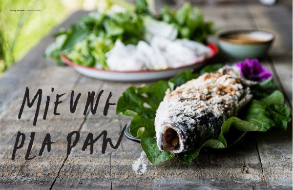 Book cover of The Thai Kitchen of Boo Raan, Sharing Recipes From Dokkoon Kapueak, with an Asian style chicken dish in restaurant kitchen, with chef topping with herbs. Published by Lannoo Publishers.