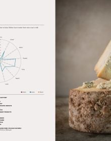 Circular slab of cheese with smaller shapes of cheese on wood shelving, on cover of 'Cheese Champions, The World’s Crème de la Crème of Raw Milk Cheese', by Lannoo Publishers.