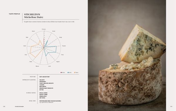 Book cover of Cheese Champions: The World’s Crème de la Crème of Raw Milk Cheese, with a circular slab of cheese with smaller slices of cheese on wood shelving. Published by Lannoo Publishers.