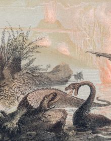 Book cover of Dinosaurs are Collectible, with a man in suit standing next to large dinosaur bone. Published by Lannoo Publishers.