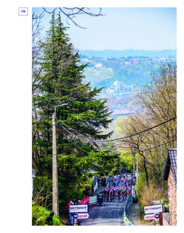 Montage of action shots of Belgian cycling team inside wolf outline, on blue cover of 'The Wolfpack Way, Winning is an Attitude. And Hard Work', by Lannoo Publishers.