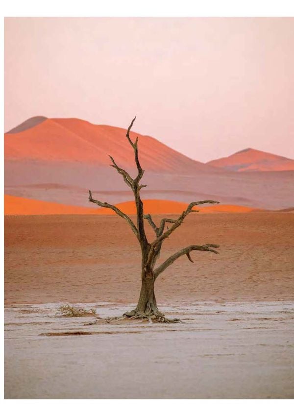 Book cover of Deserted: In Pursuit of Drylands, with an aerial view of desert landscape with sand dunes. Published by Lannoo Publishers.