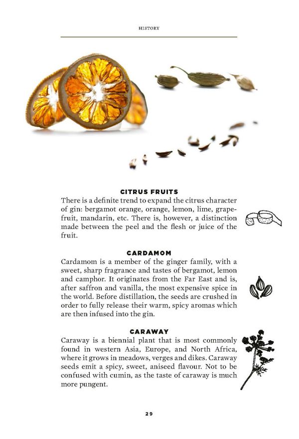 Book cover of The Gold Edition, The Ultimate Guide for the Perfect Mix, with a barman pouring cocktail. Published by Lannoo Publishers.