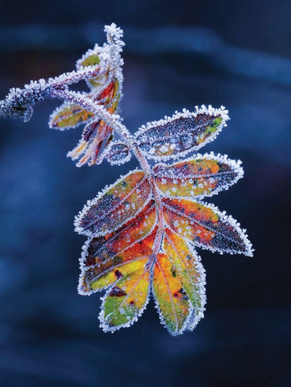 Book cover of The Beauty of the Netherlands: 10 Years of Photography by Albert Dros, with an aerial shot of an atmospheric landscape with windmills. Published by Lannoo Publishers.