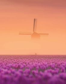 Book cover of The Beauty of the Netherlands: 10 Years of Photography by Albert Dros, with an aerial shot of an atmospheric landscape with windmills. Published by Lannoo Publishers.