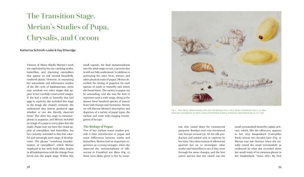 Book cover of Maria Sibylla Merian, Changing the Nature of Art and Science, featuring a botanical illustration of caterpillar crawling on yellow fruit. Published by Lannoo Publishers.