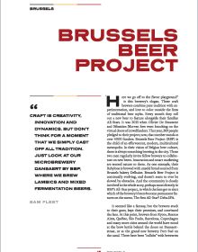 Book cover of Brewers of Belgian Beer, Belgian Beer Culture in 50 Amazing Stories, featuring a large vat. Published by Lannoo Publishers.