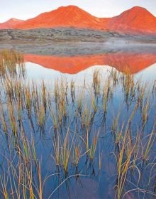 Book cover of Wild Places of Europe, with European landscape and mountains behind. Published by Lannoo Publishers.