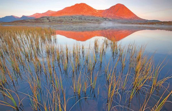 Book cover of Wild Places of Europe, with European landscape and mountains behind. Published by Lannoo Publishers.