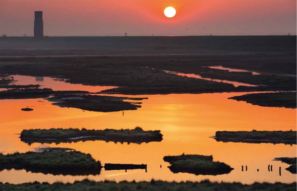 Book cover of Wild Places of Europe, with European landscape and mountains behind. Published by Lannoo Publishers.