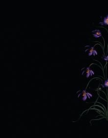 Book cover of Flower Pieces, A Photographic Journey Around the World, with flame coloured tulip and white Lily-of-the-Valley bell-shaped flowers. Published by Lannoo Publishers.