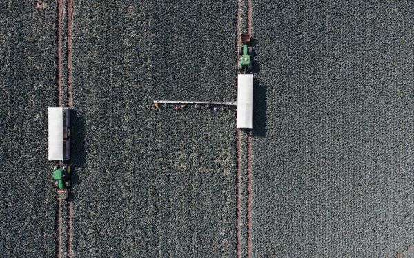 Book cover of Kadir van Lohuizen's Food for Thought, with four figures in clothes suits tending to green plants growing in a greenhouse. Published by Lannoo Publishers.