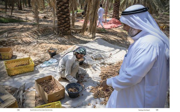 Book cover of Kadir van Lohuizen's Food for Thought, with four figures in clothes suits tending to green plants growing in a greenhouse. Published by Lannoo Publishers.