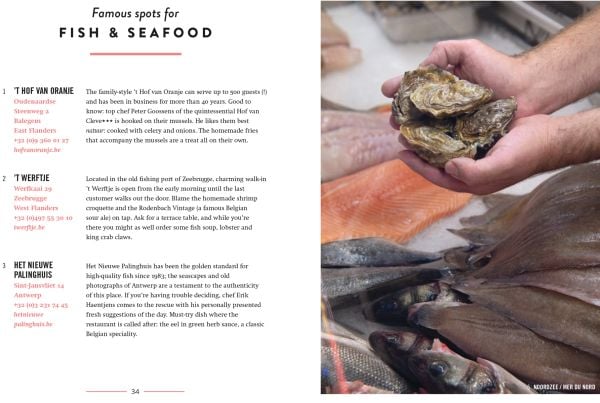 Plate of fried food with kale and lemon slice, glass of beer on walnut table, on cover of 'Belgium for Foodies', by Luster Publishing.
