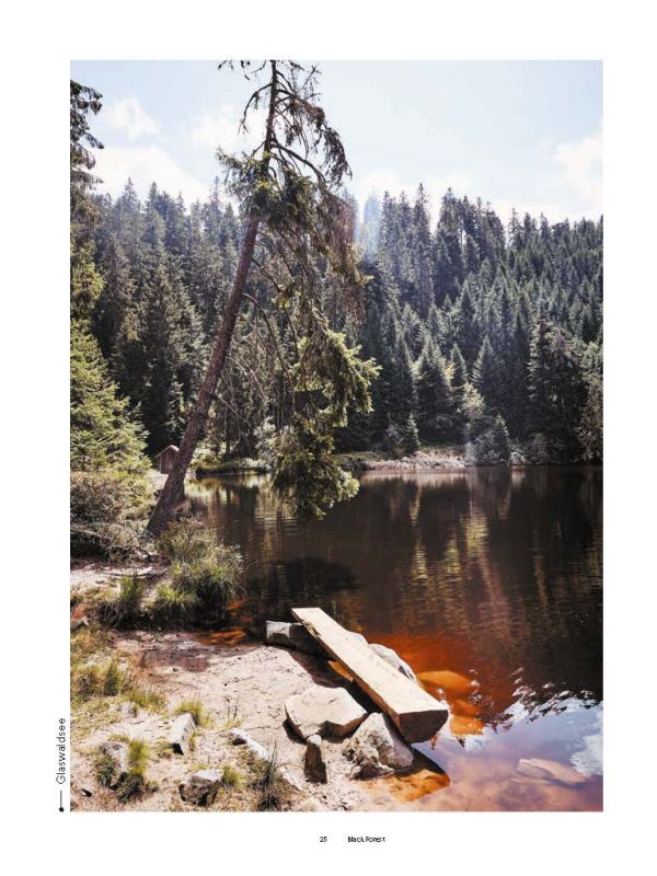 Woman sitting in doorway of campervan with black dog, in forest area, on cover of 'Camper Food & Stories', by Luster Publishing.