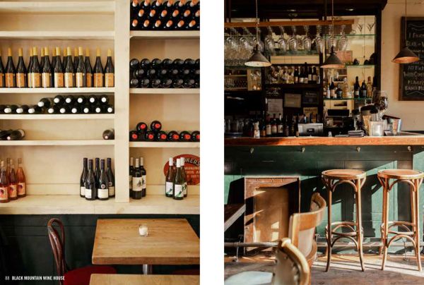 Book cover of Hidden Brooklyn, featuring Nathan's famous food place on corner of street in Brooklyn. Published by Luster Publishing.