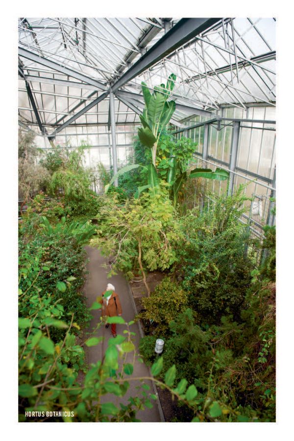 Book cover of The 500 Hidden Secrets of Amsterdam, with REM Island, with sea platform on stilts housing a restaurant. Published by Luster Publishing.