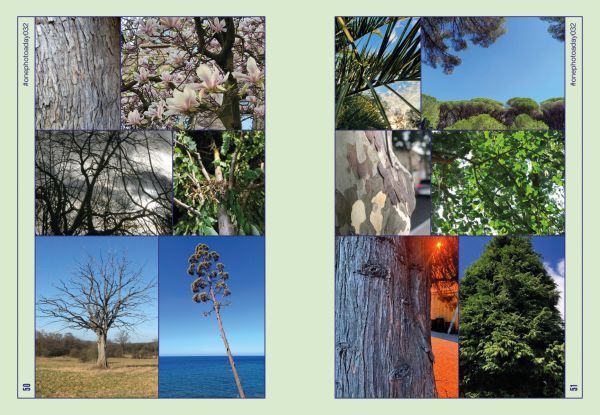 'ONE PHOTO A DAY KEEPS THE DOCTOR AWAY', in white font on pale blue cover, by Luster Publishing.