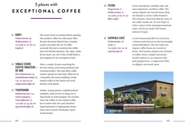 Book cover of The 500 Hidden Secrets of The Hague, with a figure walking down stairwell. Published by Luster Publishing.