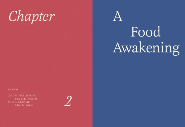 Book cover of Nobody Sits Like the French, with a figure sitting in a chair. Published by Luster Publishing.