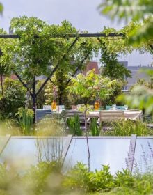 Book cover of Wild Harmony: Urban Gardens by Bart & Pieter; featuring a garden with a view to residential homes. Published by Luster Publishing.
