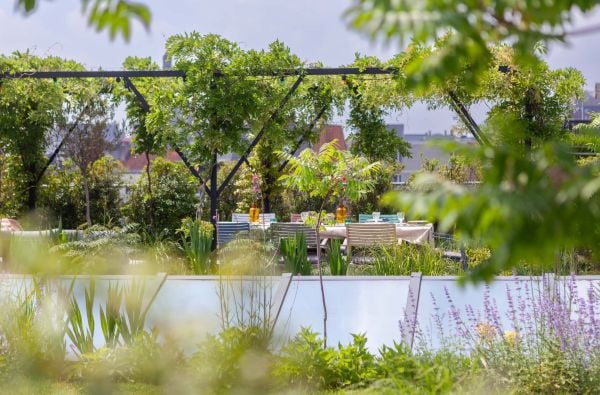 Book cover of Wild Harmony: Urban Gardens by Bart & Pieter; featuring a garden with a view to residential homes. Published by Luster Publishing.
