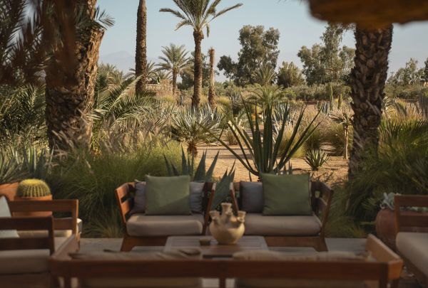 Book cover of Rock the Kasbah: A Journey Through Morocco’s Most Soulful Stays; featuring a homely interior space with a rug and basket lighting fixture. Published by Luster Publishing.