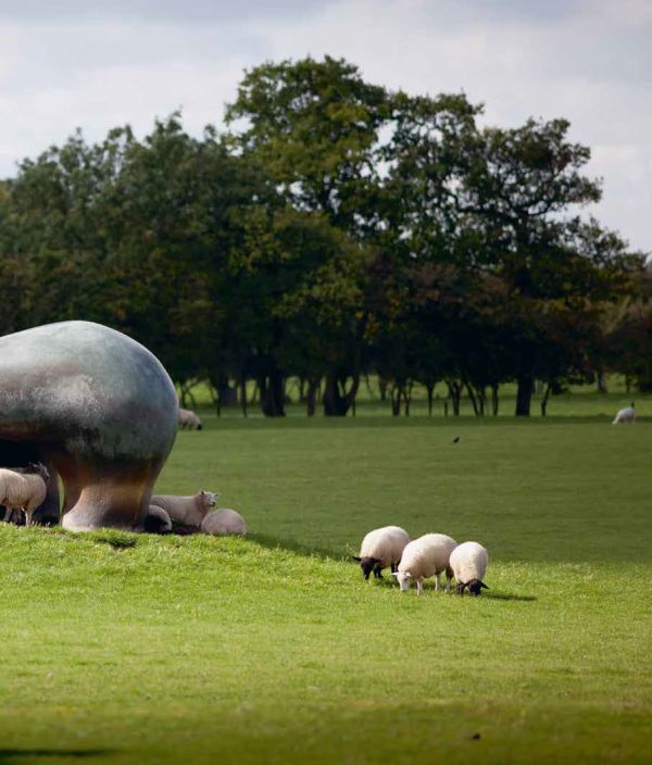 Book cover of Henry Moore: Form and Material, with the artist holding his hands palm-face up to the camera. Published by Waanders Publishers.