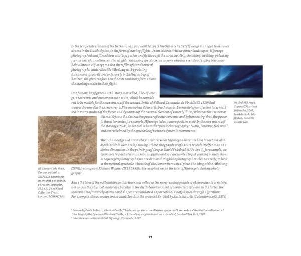 Book cover of Swirling Starlings, with a murmuration of starlings. Published by Waanders Publishers.