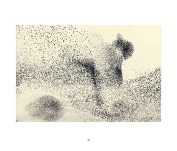 Book cover of Swirling Starlings, with a murmuration of starlings. Published by Waanders Publishers.