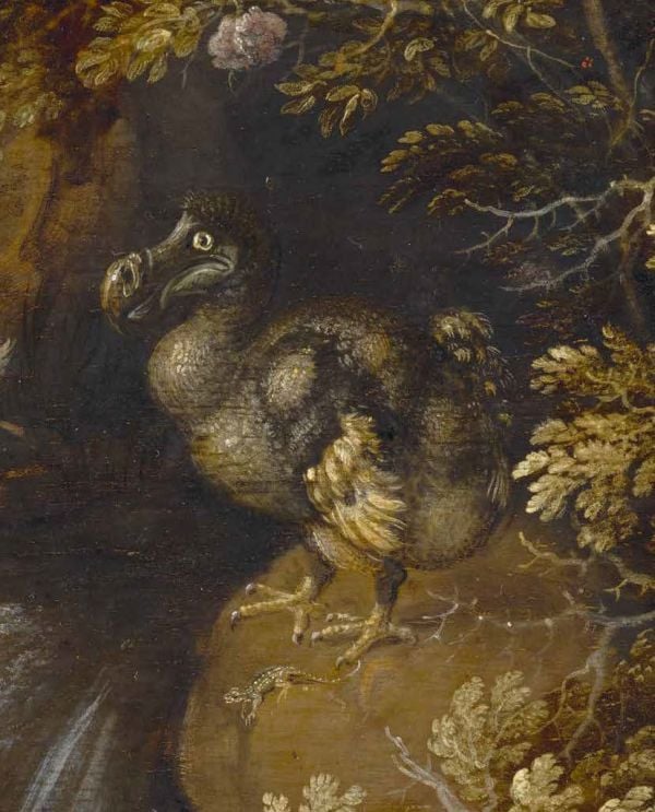 Book cover of Roelant Savery’s Wondrous World, with a painting of a cockatoo perched on a tree branch. Published by Waanders Publishers.