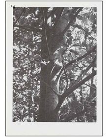 Book cover of herman de vries - publisher. Published by Waanders Publishers.