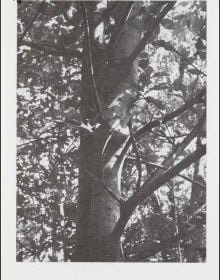 Book cover of herman de vries - publisher. Published by Waanders Publishers.