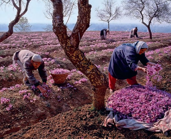 Book cover of From Colour to Art, featuring circles of colours. Published by Waanders Publishers.