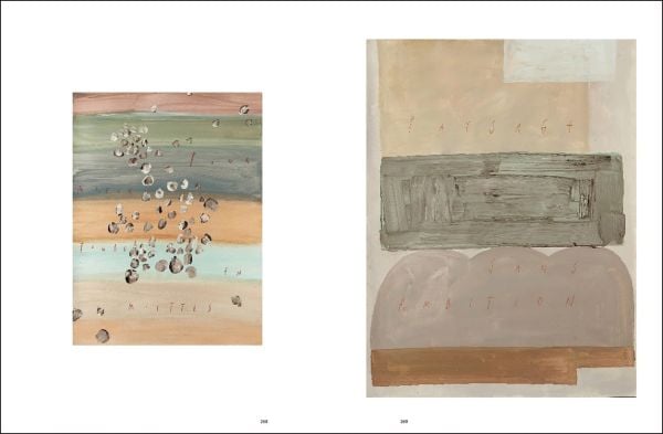 Book cover Feue La Joyeuseté/Works on Paper: Arpaïs Du Bois, featuring a painting on paper. Published by Hopper&Fuchs.