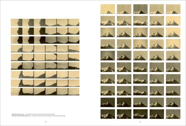 Book cover of Trying To Make It Real Part 1 & 2: Bruno V. Roels, with a palm tree. Published by Hopper&Fuchs.